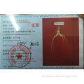 Chinese top quality of ginseng root and deer velvet antler